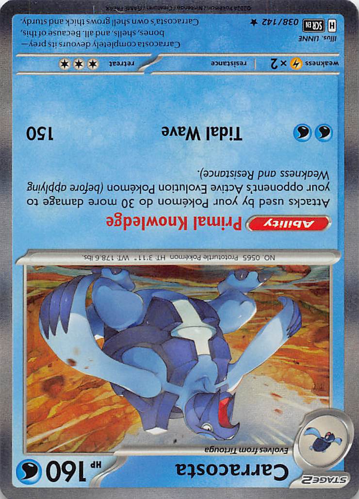 Carracosta - 038/142 - Holo Rare