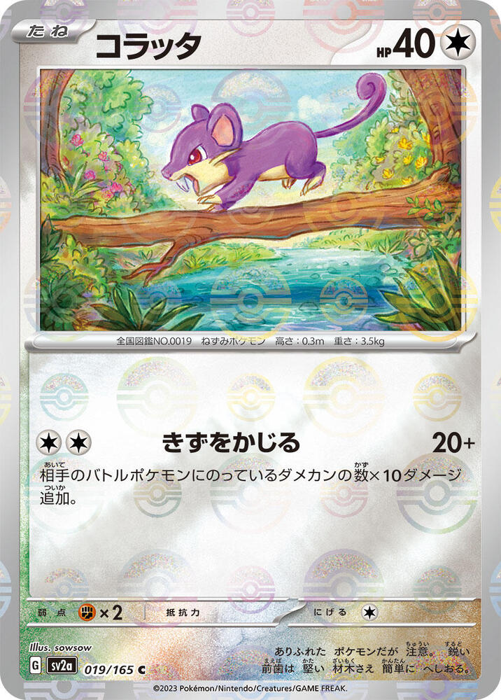 Rattata 019/165 (SV2a: Pokemon Card 151)  - Poke Ball Holofoil