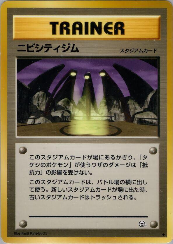 Pewter City Gym  (Leaders' Stadium) 