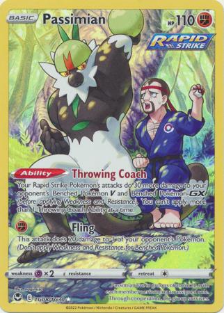 Passimian - TG08/TG30 - Holo Rare - Silver Tempest