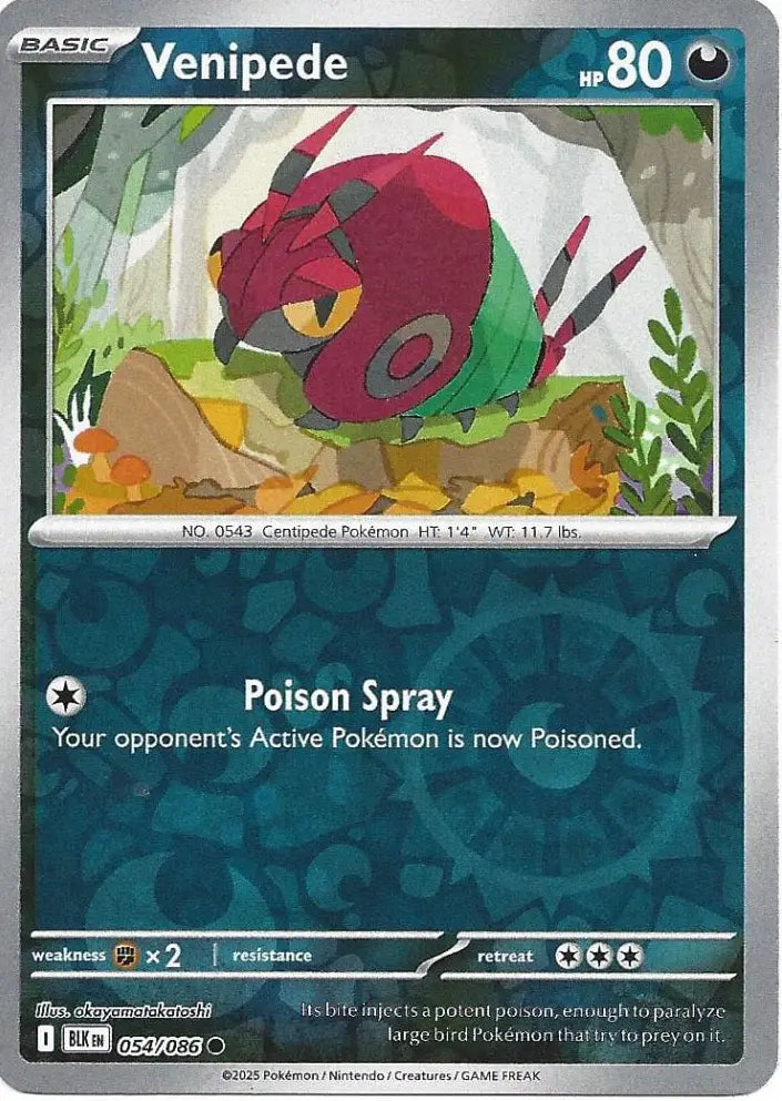 Venipede 054/086 (SV: Black Bolt)  - Reverse Holofoil