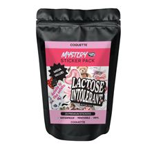 Mystery Vinyl Sticker Pack