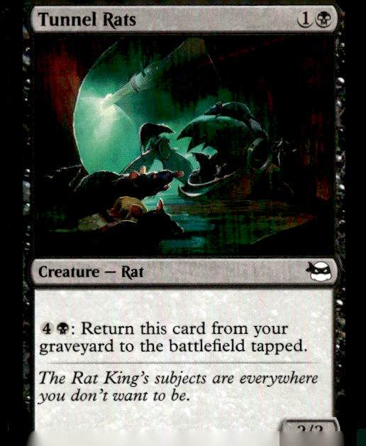 Teenage Mutant Ninja Turtles Tunnel Rats