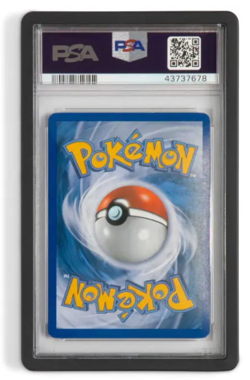 Guardian Bumper (PSA)