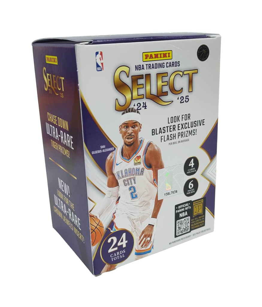 Panini 2025 Select Basketball Blaster}