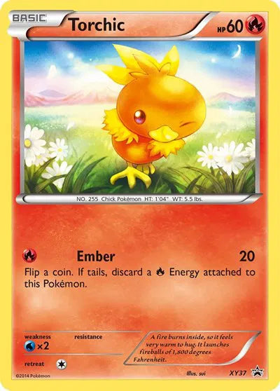Torchic - Promo - XY37