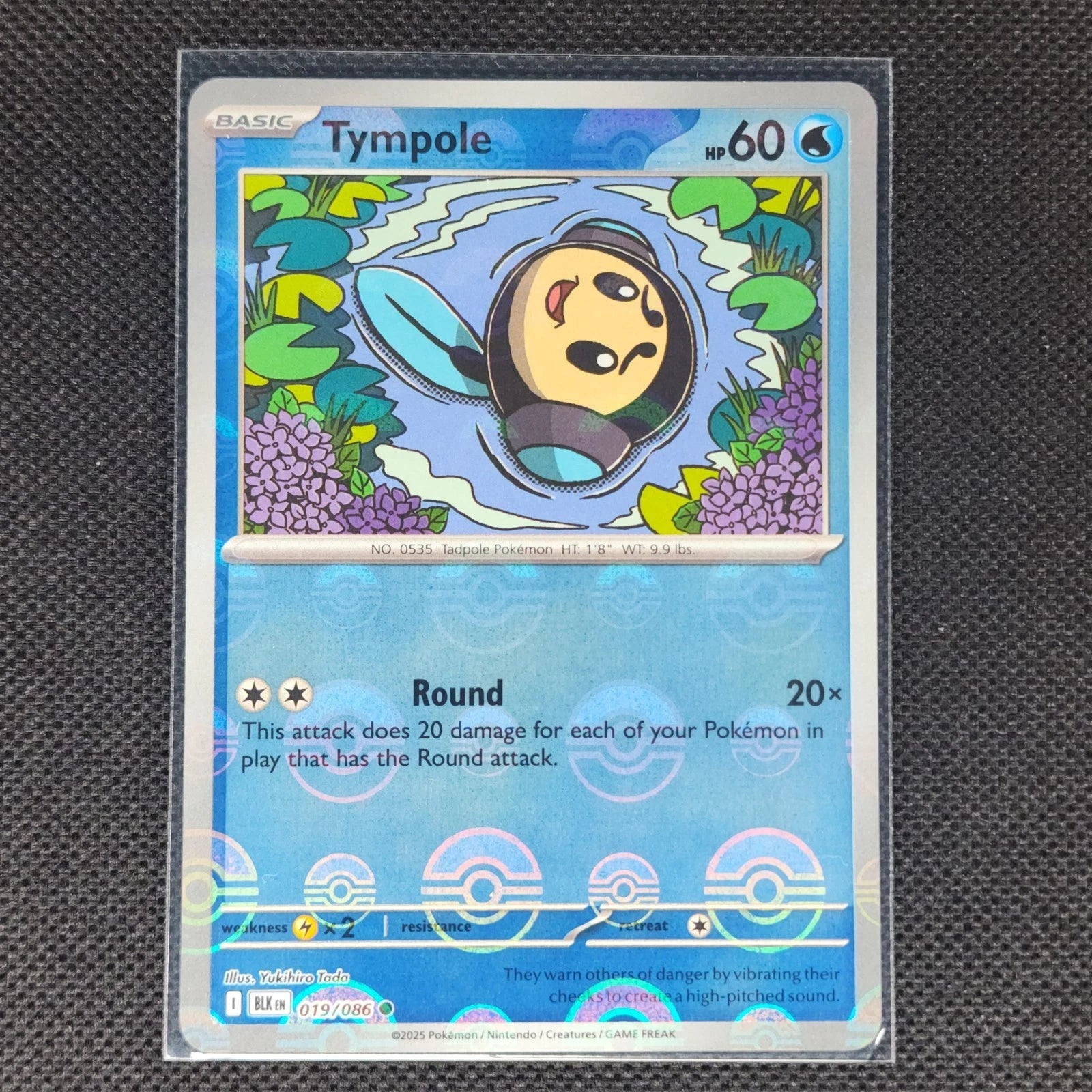 Tympole - 019/086 - Pokeball Holo - Black Bolt - Pokemon Card
