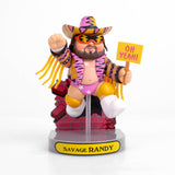GARBAGE PAIL KIDS x WWE - Savage Randy Figure
